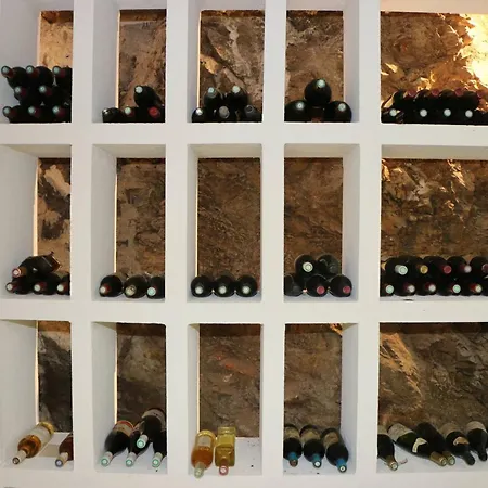 Villa De Maitre 6 Avec Piscine Et Jacuzzi - Fr-1-768-119